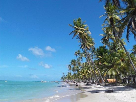 Flat 208 Eco Resort Carneiros Tamandaré 外观 照片